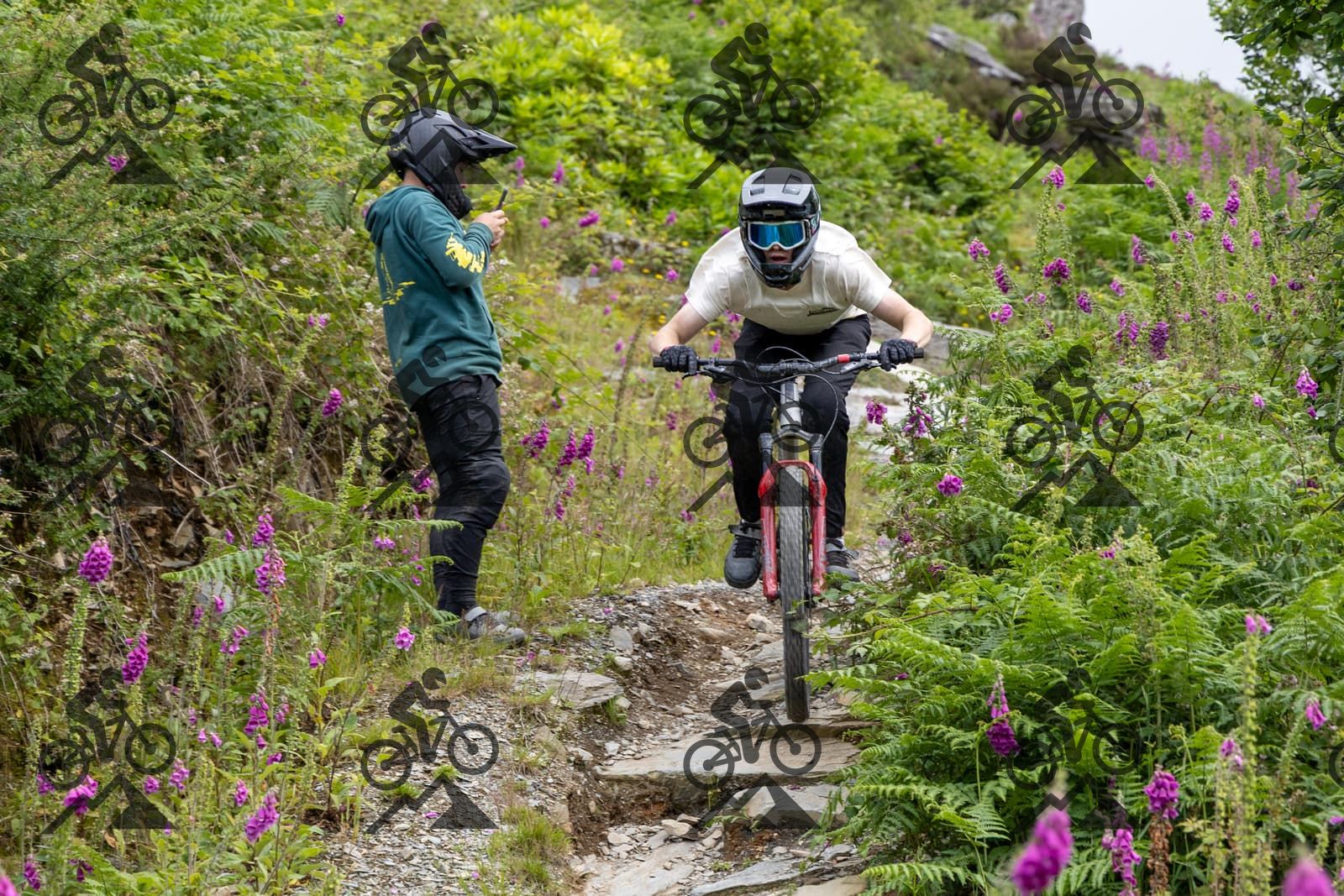 mountain bike photo at Antur Stiniog
