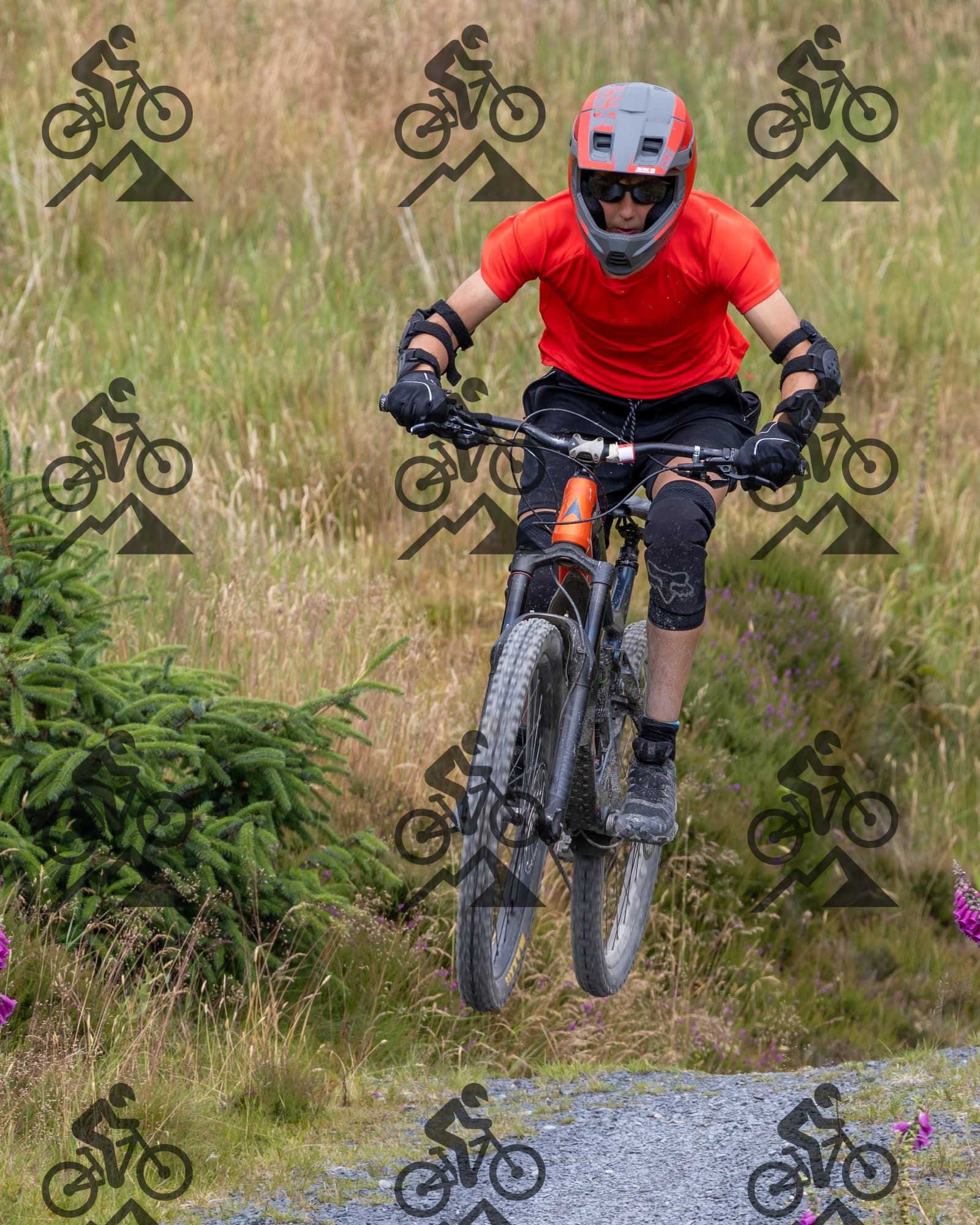 mountain bike photo at Antur Stiniog