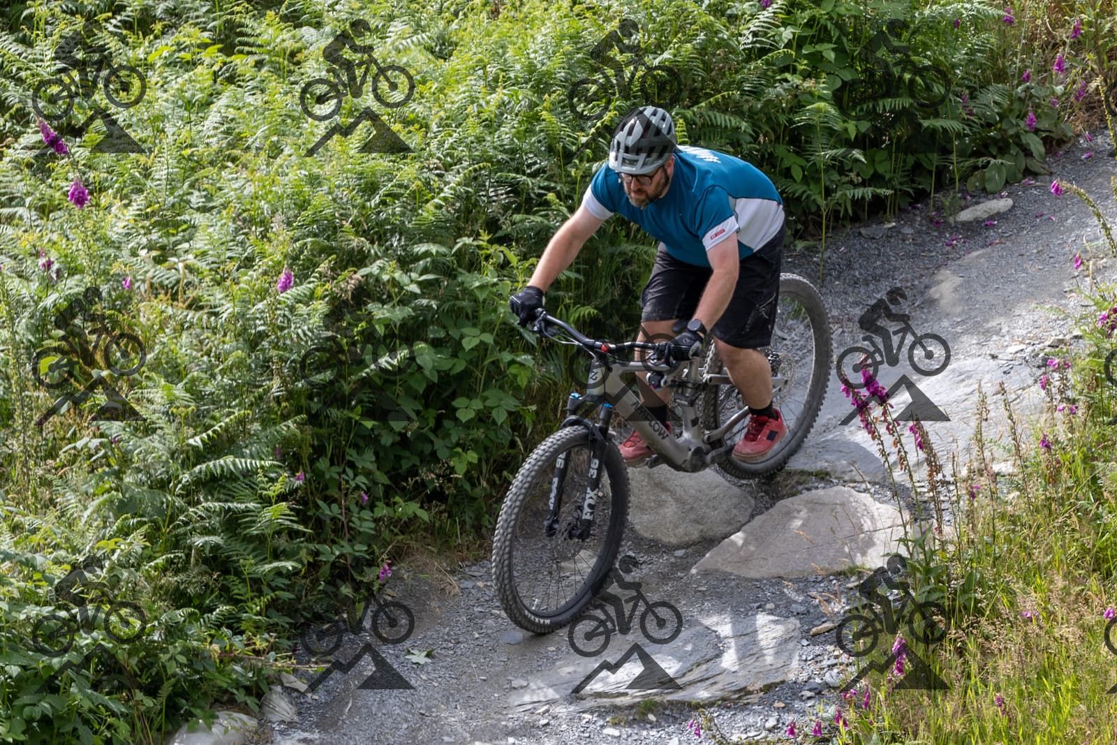 mountain bike photo at Antur Stiniog