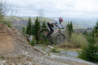 mountain bike photo on Turns in the Ferns
