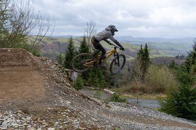 mountain bike photo on Turns in the Ferns