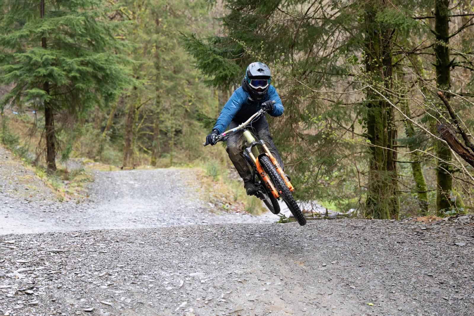 Dyfi Bike Park
