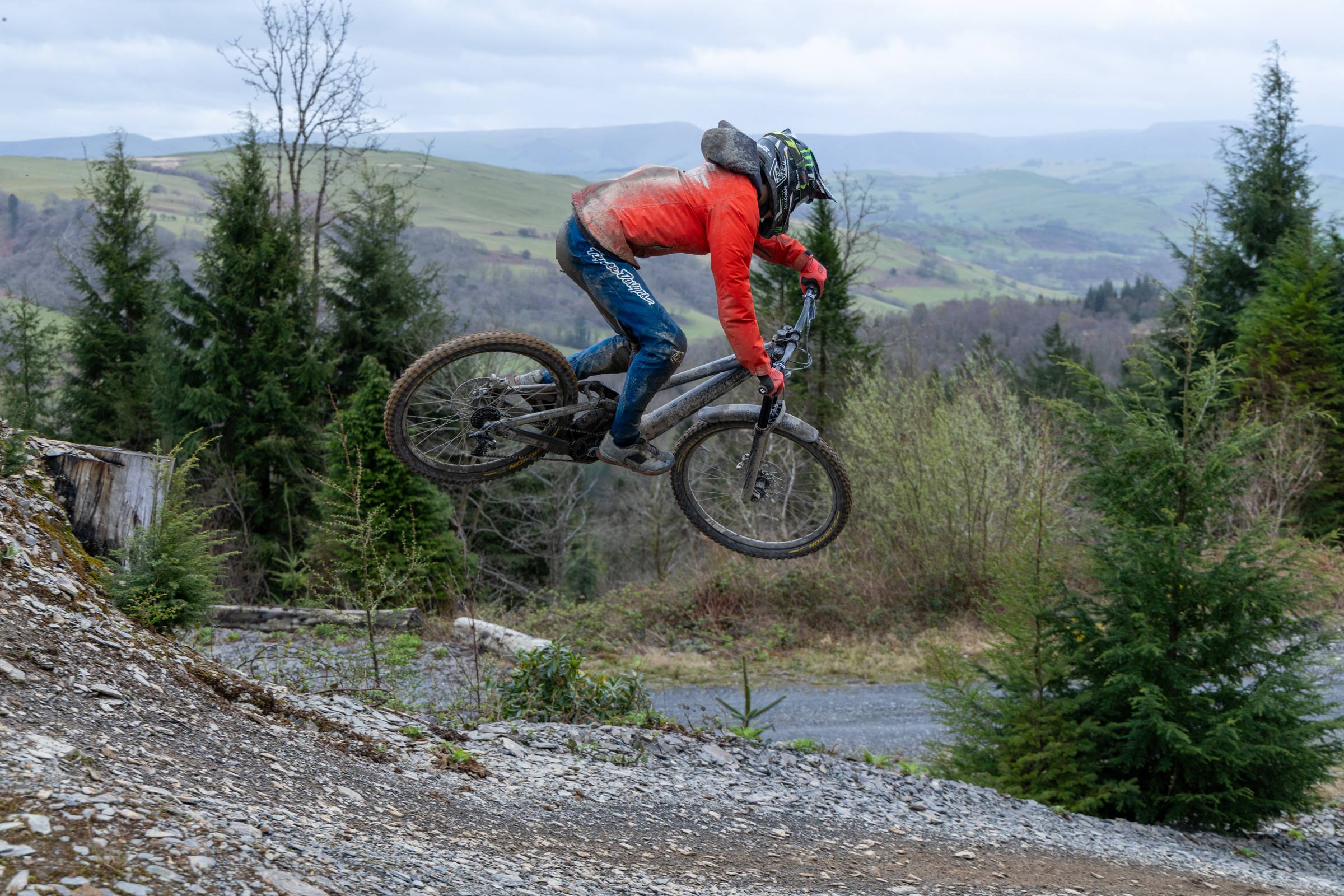 Turns in the Ferns - Dyfi Bike Park mountain bike photography