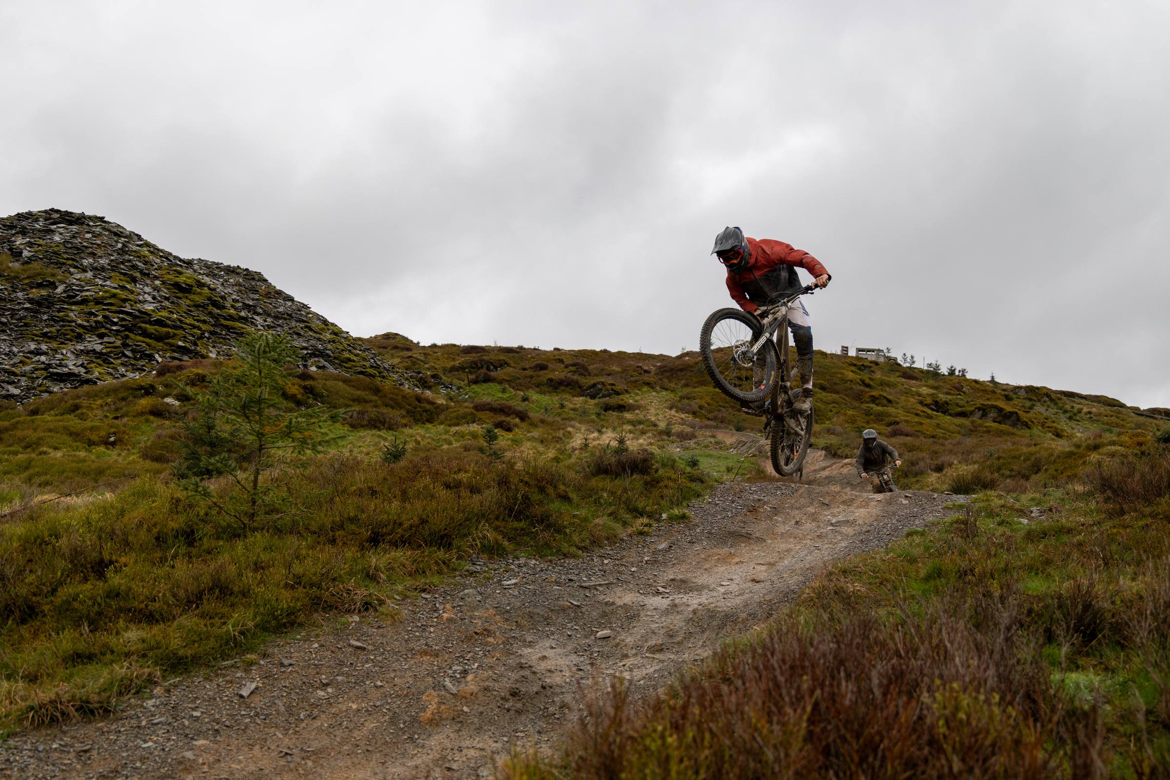Lovey Dyfi - Dyfi Bike Park mountain bike photography
