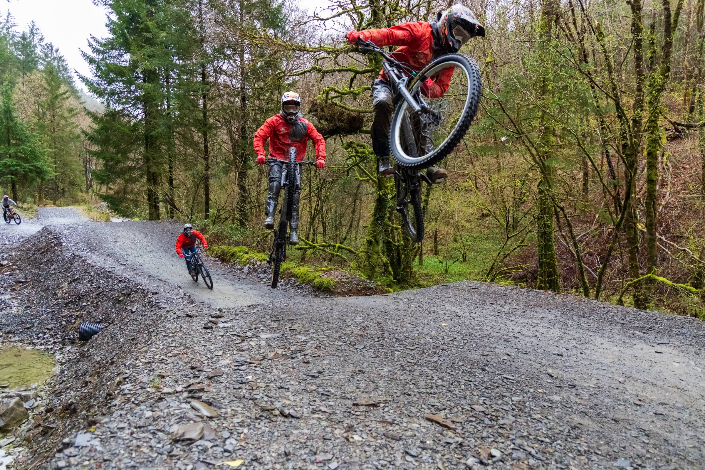 Dyfi Bike Park mountain bike location